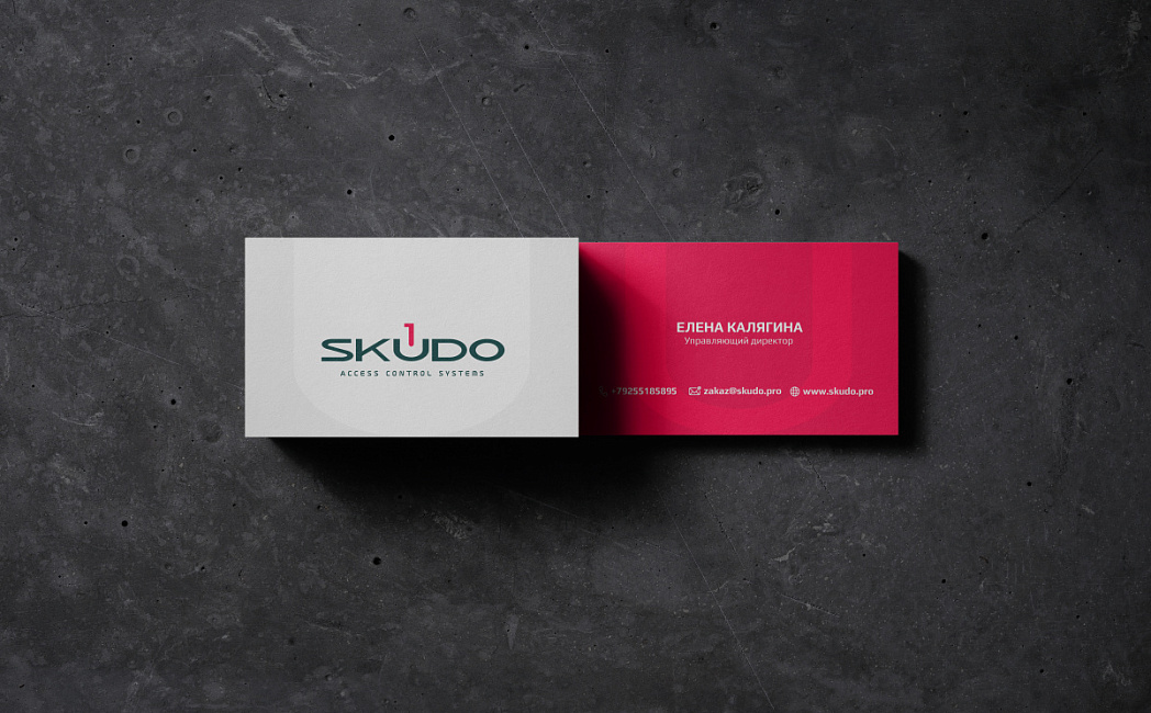 Разработка фирменного стиля для SKUDO