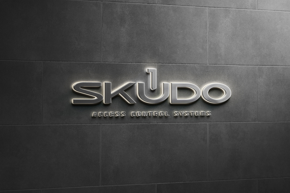 Разработка фирменного стиля для SKUDO
